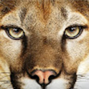 Meet your Posher, Bonita